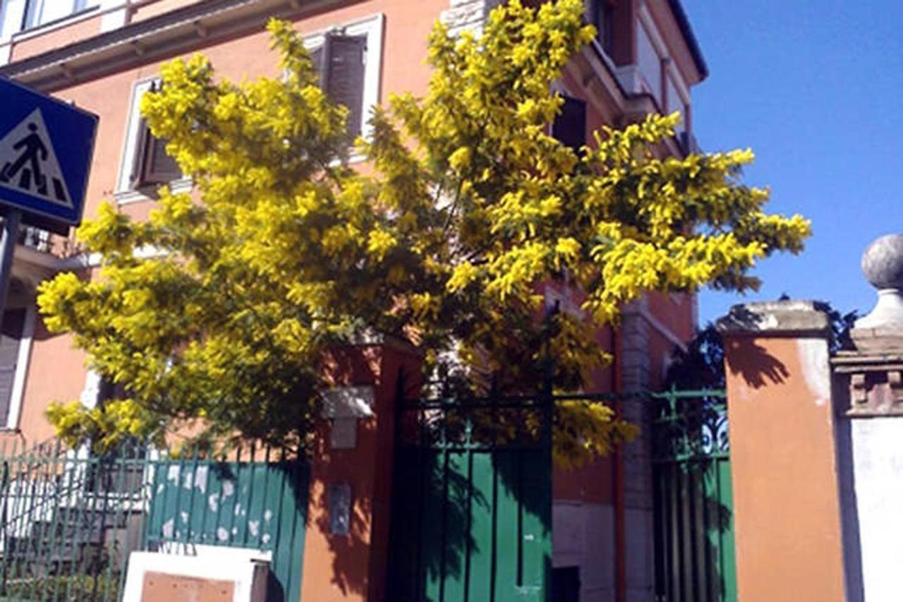 Garden Flat By Vatican Walls Řím Exteriér fotografie